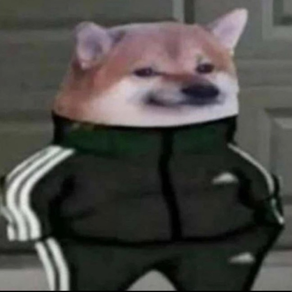 Meet your Posher, Simeon